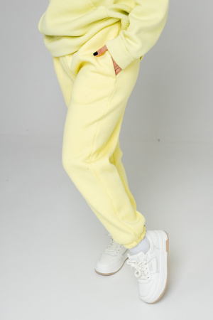 Брюки  Chill 2 с начесом фото в интернет-магазине швейной фабрики "Нарпи"