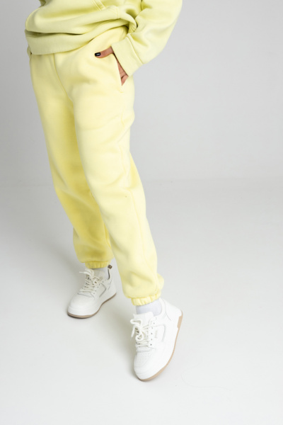 Брюки  Chill 2 с начесом