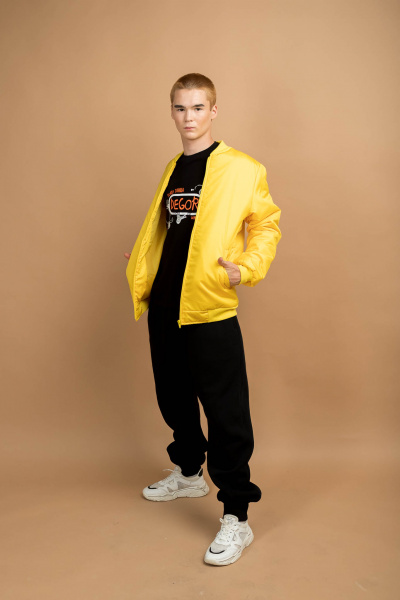 Куртка Bomber ICE